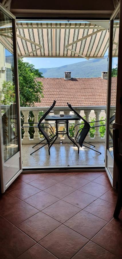 Lav * Herceg Novi