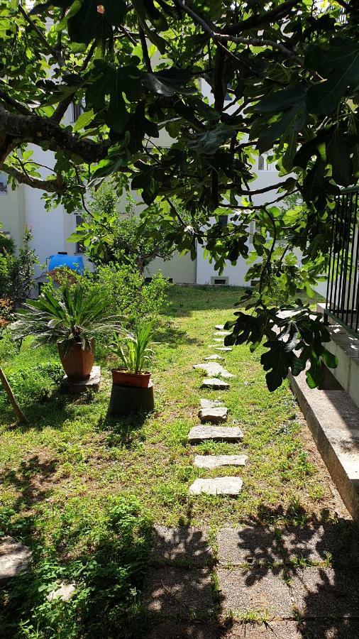 Apartment Lav Herceg Novi